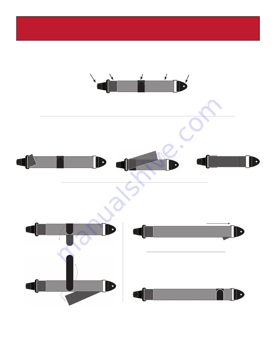 Panther TLSL-II Скачать руководство пользователя страница 8