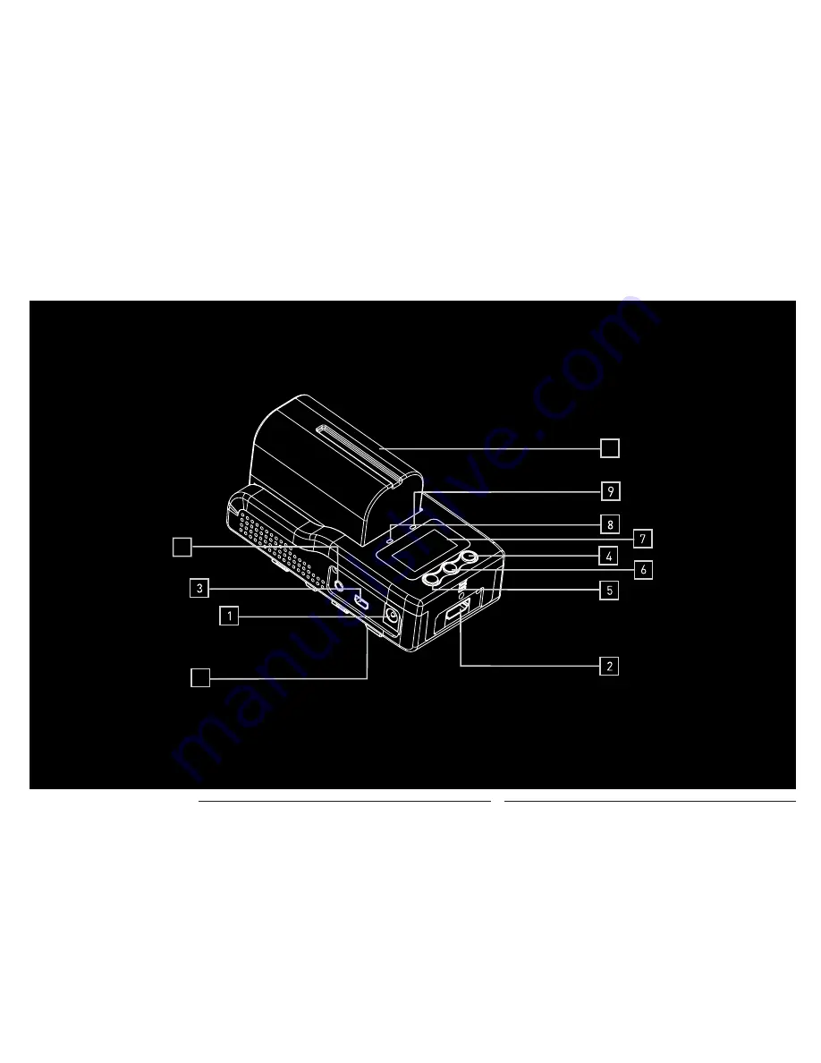 Paralinx Triton User Manual Download Page 11