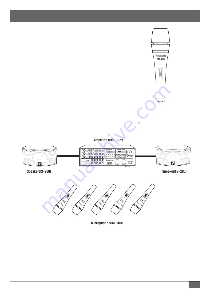 pascom DM-980 Скачать руководство пользователя страница 12