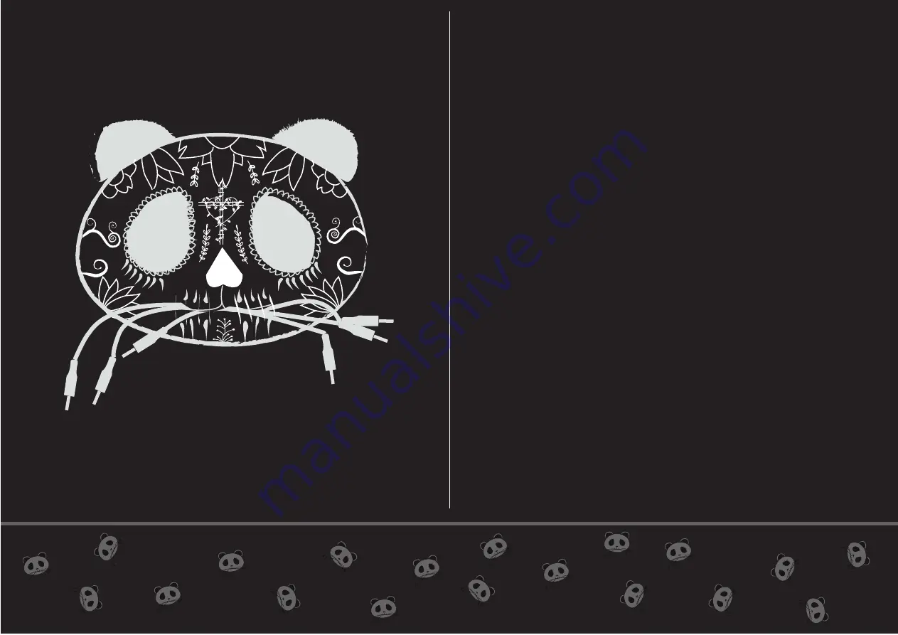 Patching Panda BD-Z Скачать руководство пользователя страница 2