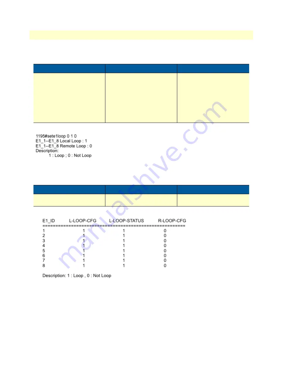 Patton 1195/8E1 Getting Started Manual Download Page 40