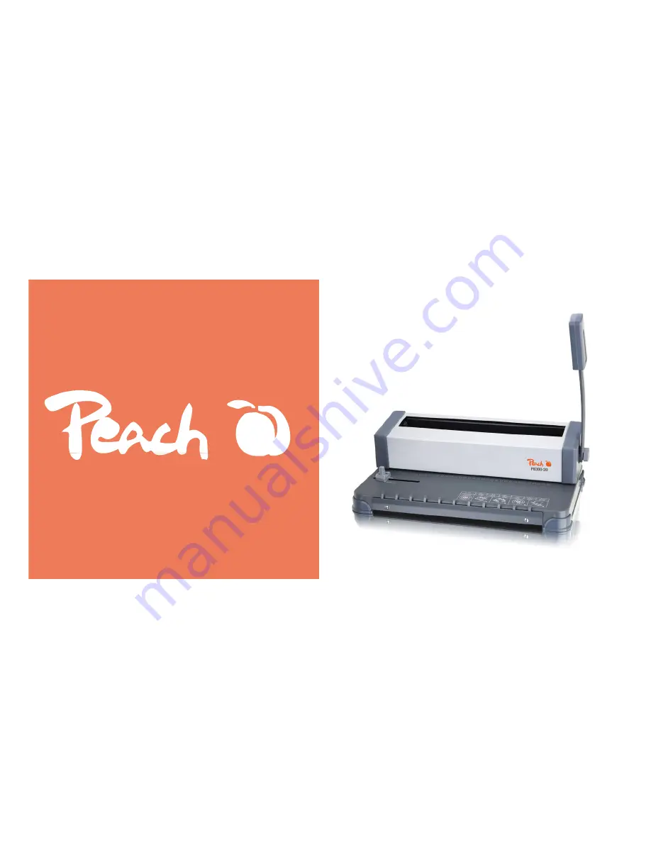 Peach PB300-20 Operating Instructions Manual Download Page 1