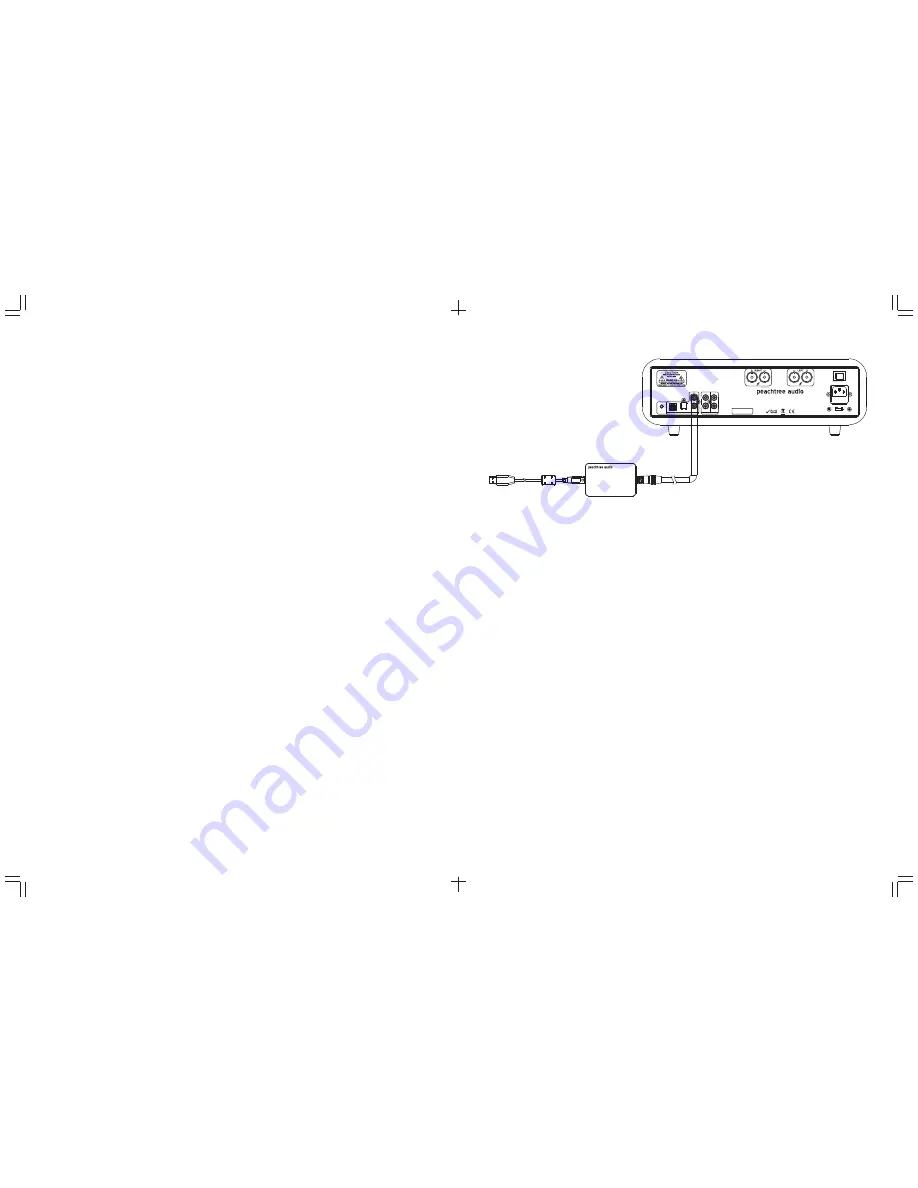 Peachtree Audio t1 24 User Manual Download Page 2