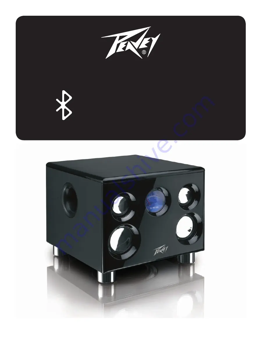 Peavey BTS 5.35 Скачать руководство пользователя страница 6