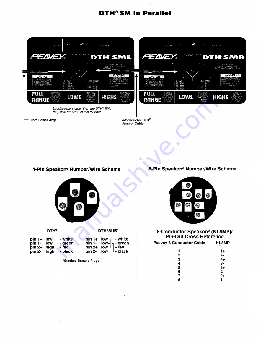 Peavey DTH SM Скачать руководство пользователя страница 4