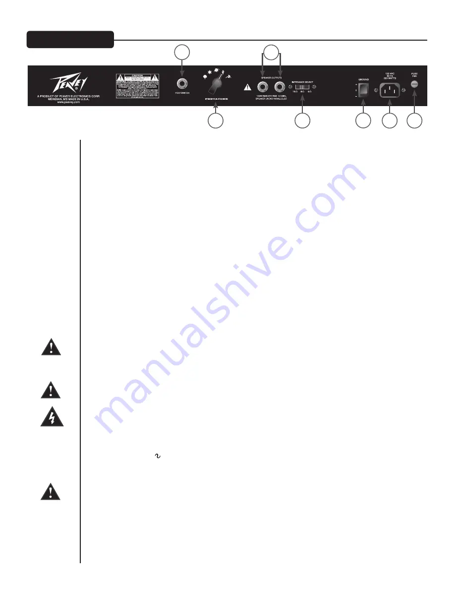 Peavey Penta Скачать руководство пользователя страница 22