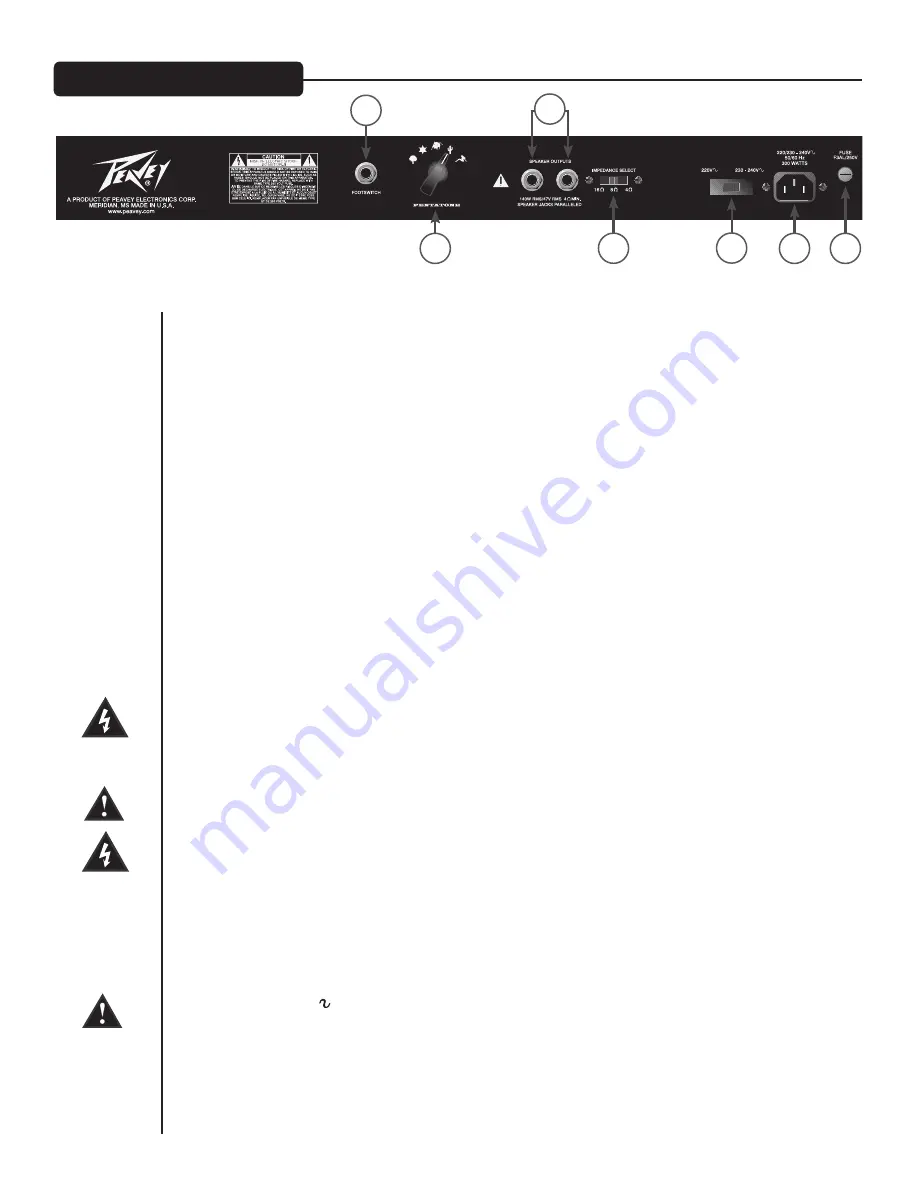 Peavey Penta Скачать руководство пользователя страница 23