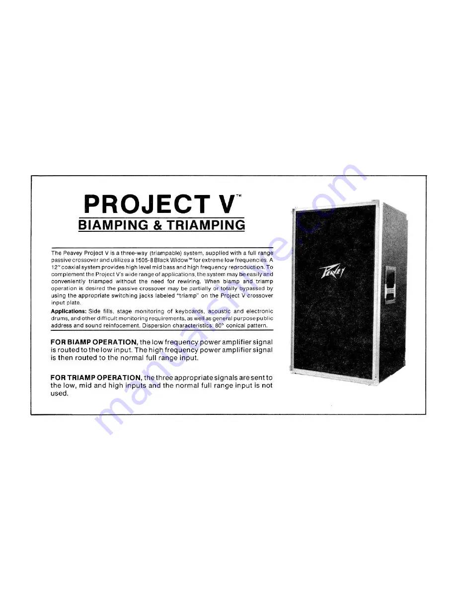 Peavey Project V Скачать руководство пользователя страница 1