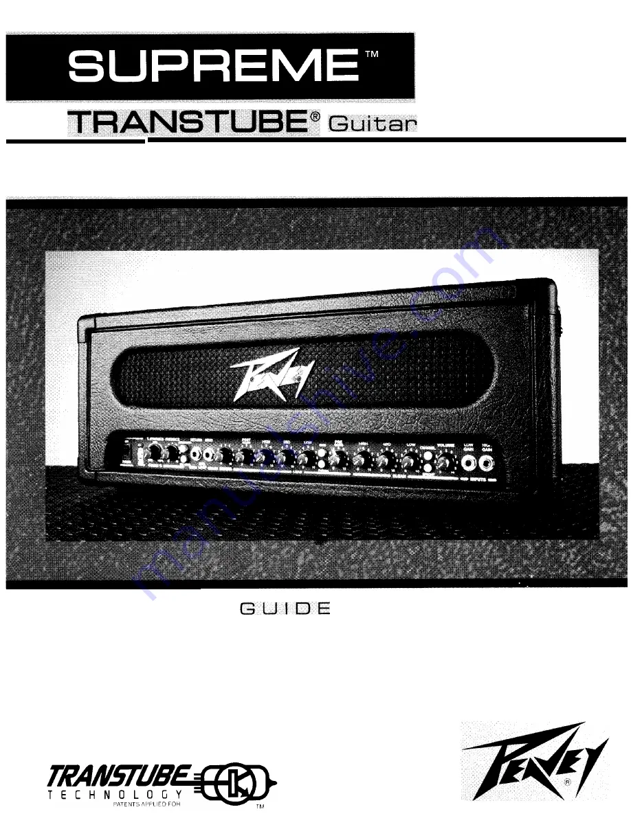 Peavey Transtube Series 110 EFX Скачать руководство пользователя страница 1