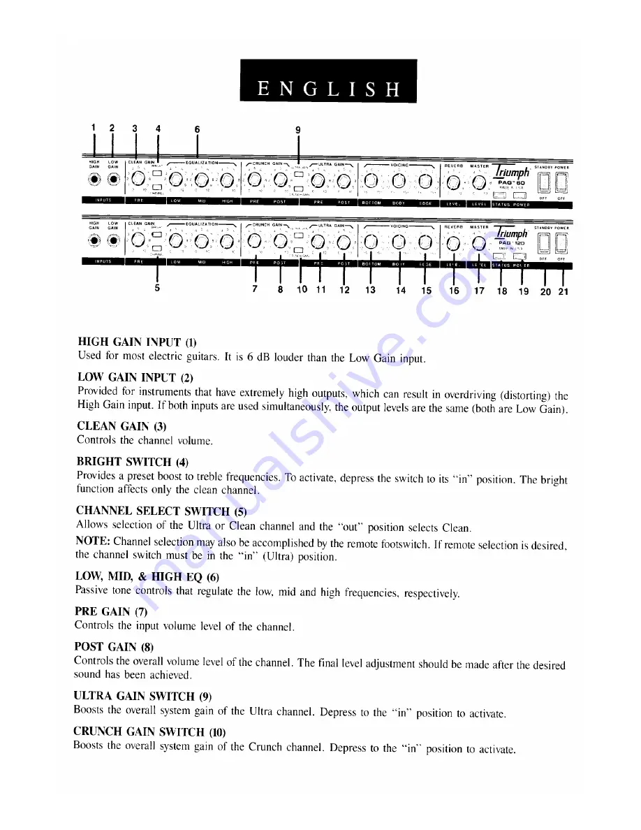 Peavey Triumph TriumphPAG 60 Скачать руководство пользователя страница 3