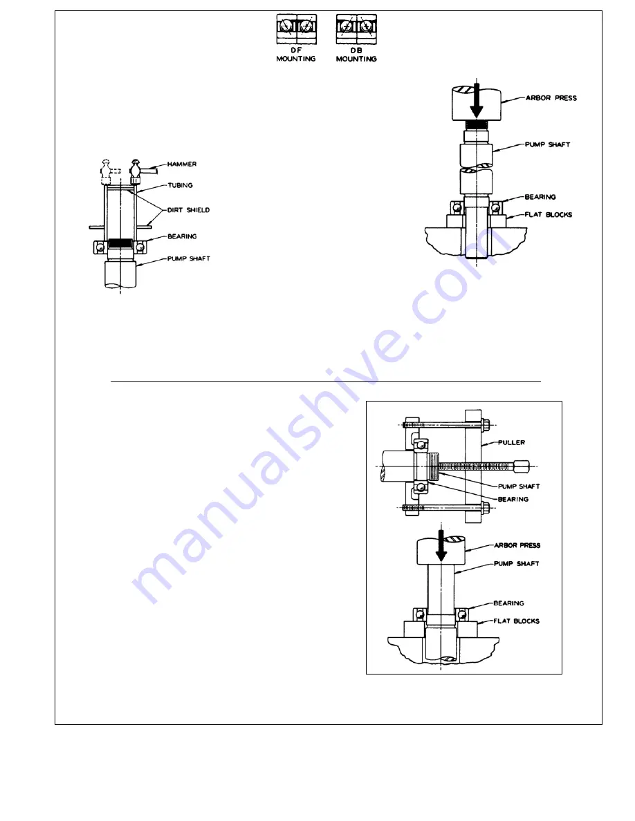 Peerless Pump TUT 4-Stage Скачать руководство пользователя страница 7