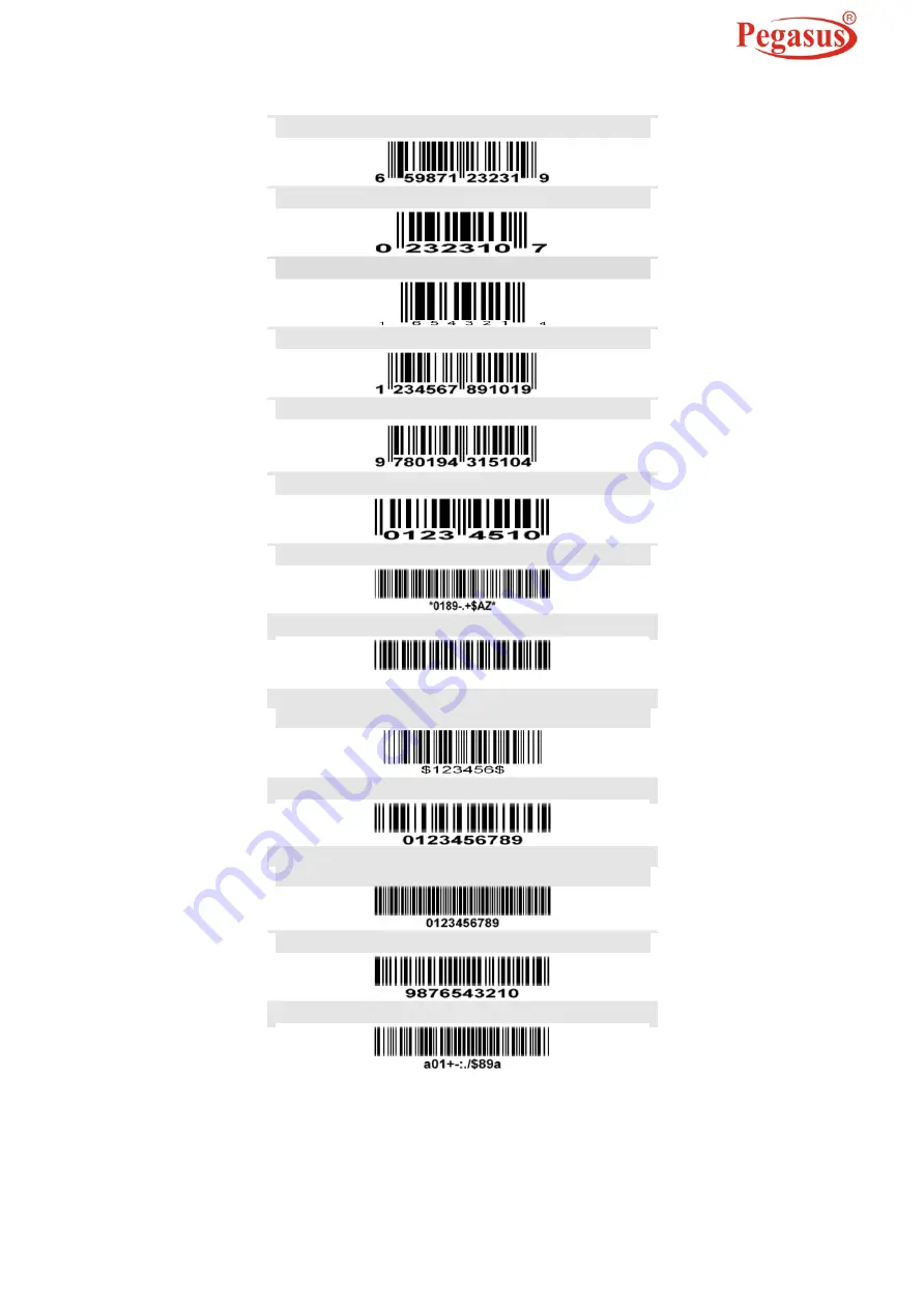 Pegasus PS1133 User Manual Download Page 96