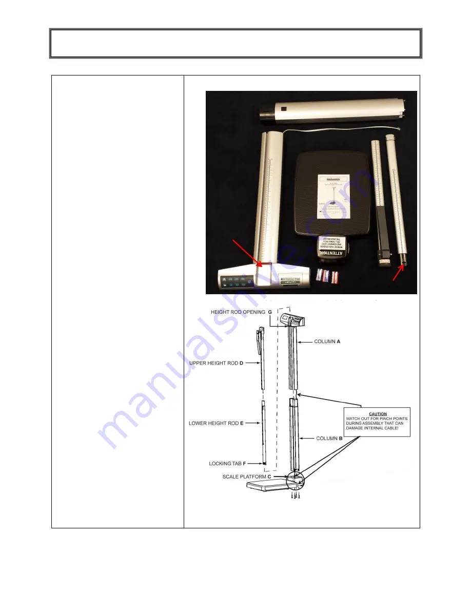 Pelstar Health o meter Professional 500KG-BT User Instructions Download Page 7