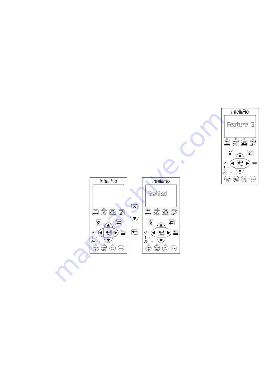 Pentair Pool Products IntelliFlo VF Installation And User Manual Download Page 41