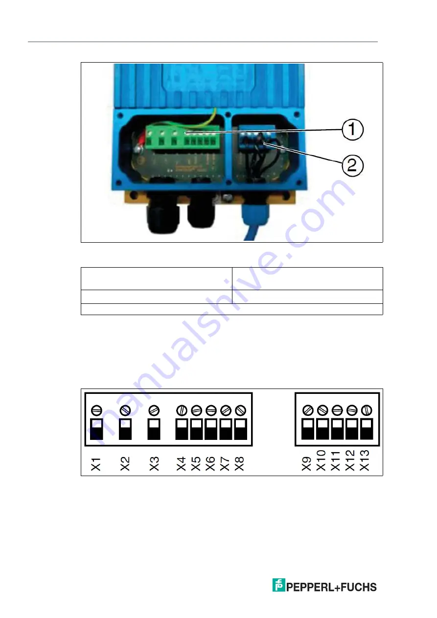 Pepperl+Fuchs IDM-Z1-161-M-1D-J1-BT-N-N0 Скачать руководство пользователя страница 22