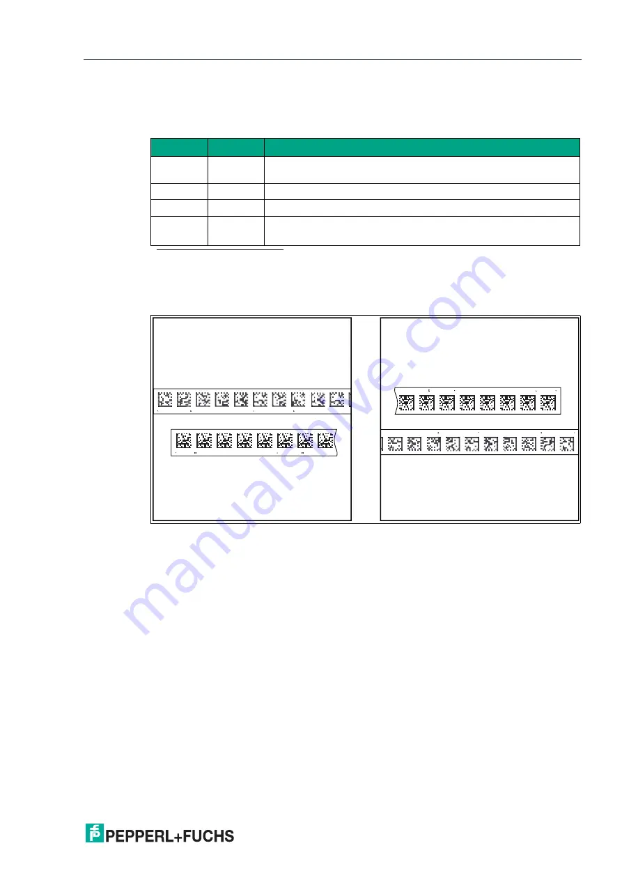 Pepperl+Fuchs PGV100-F200A-B25-V1D Manual Download Page 51