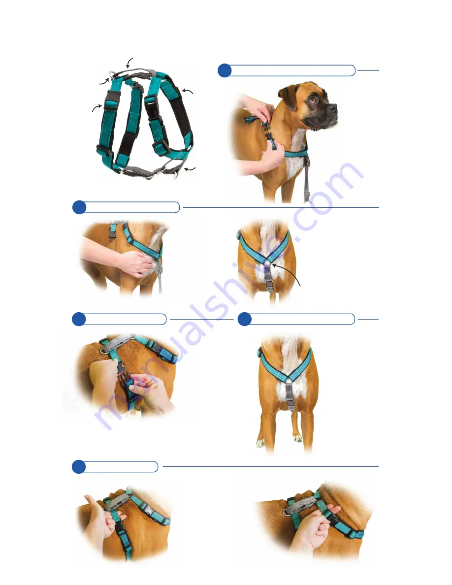 Petsafe GRP-3IN1 Fitting & Use Manual Download Page 2