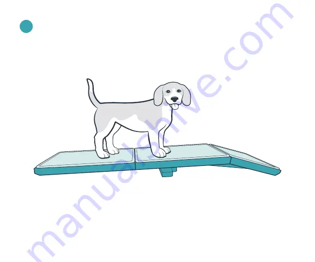 Petsafe Happy Ride WOOD SOFA RAMP Quick Start Manual Download Page 9