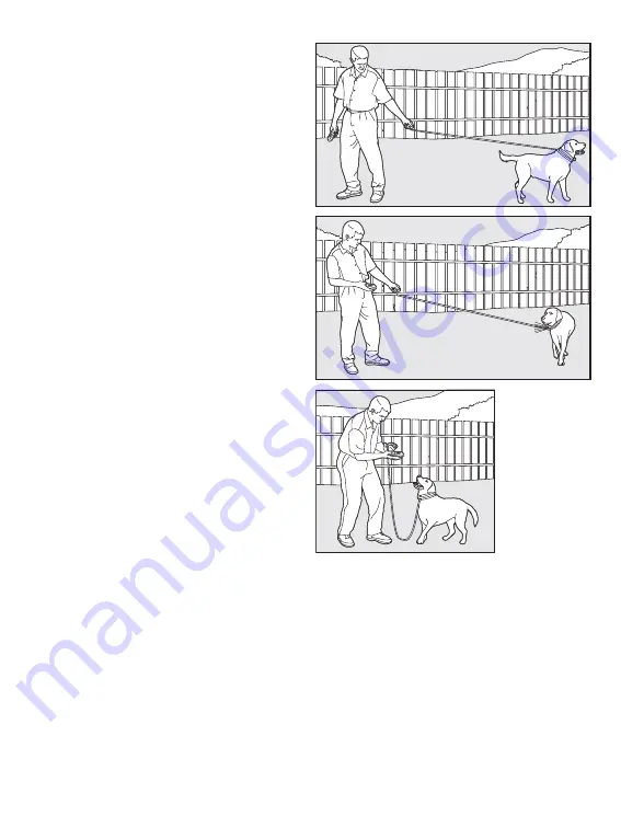 Petsafe PDT20-11738 Operating And Training Manual Download Page 13