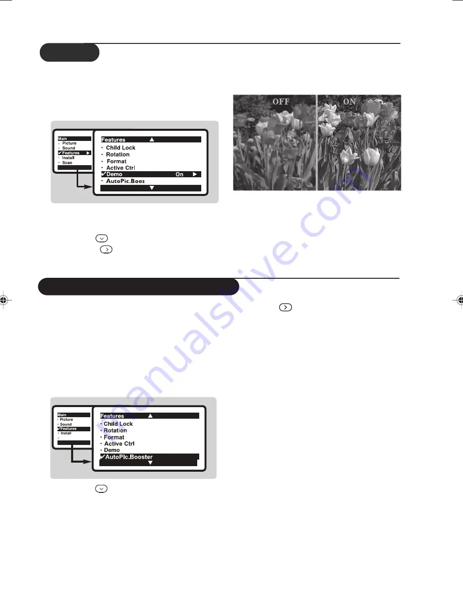 Philips 29PT8845 User Manual Download Page 15