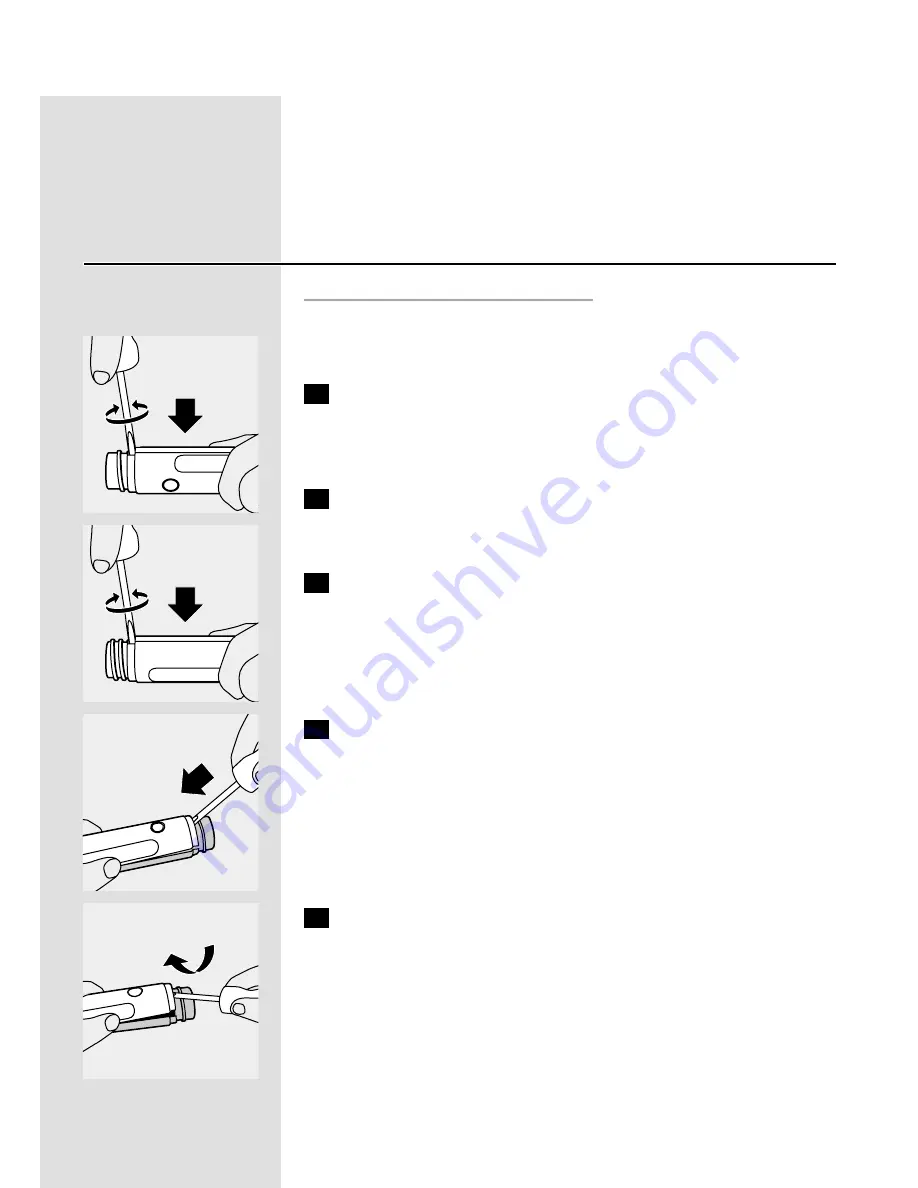 Philips ELITE e5000 series User Manual Download Page 31