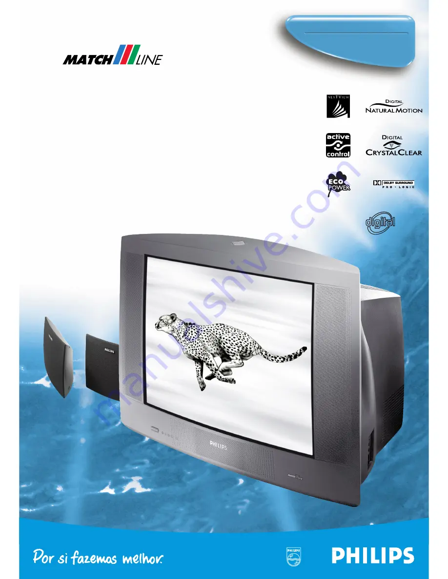 Philips MatchLine 29PT9415 Specifications Download Page 5