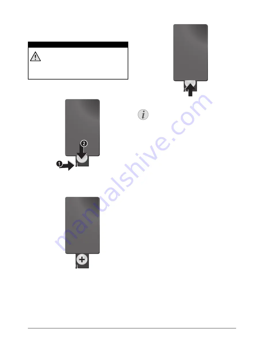 Philips PicoPix PPX2495 User Manual Download Page 10