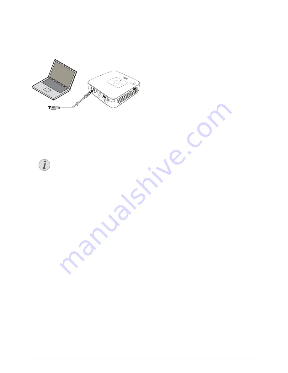 Philips PicoPix PPX2495 User Manual Download Page 19