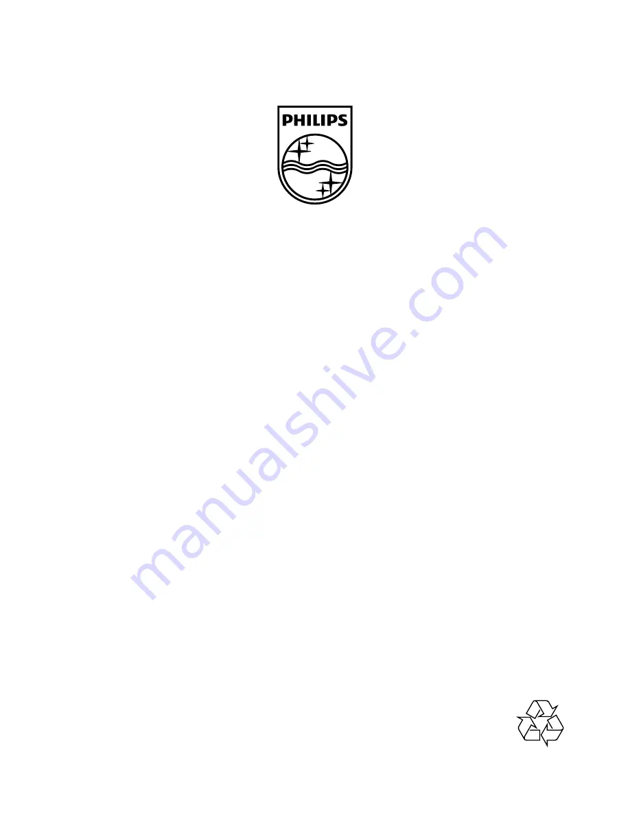 Philips SPP3038A User Manual Download Page 10