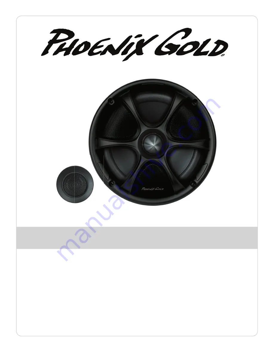 Phoenix Gold RX65CS Скачать руководство пользователя страница 1