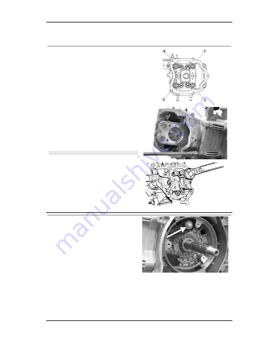 PIAGGIO MSS X9 EVOLUTION 250 Workshop Manual Download Page 125