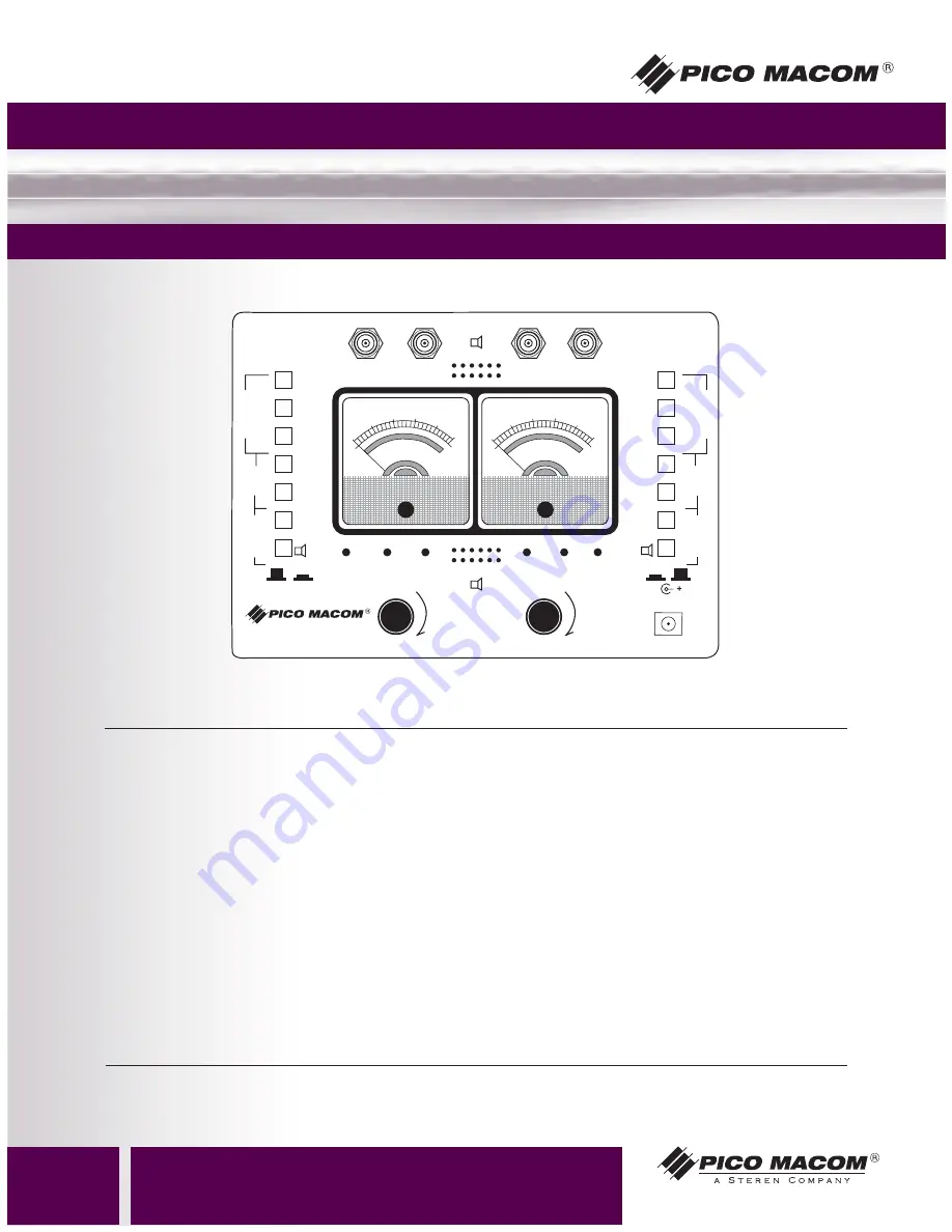 Pico Macom DSM1 Скачать руководство пользователя страница 2