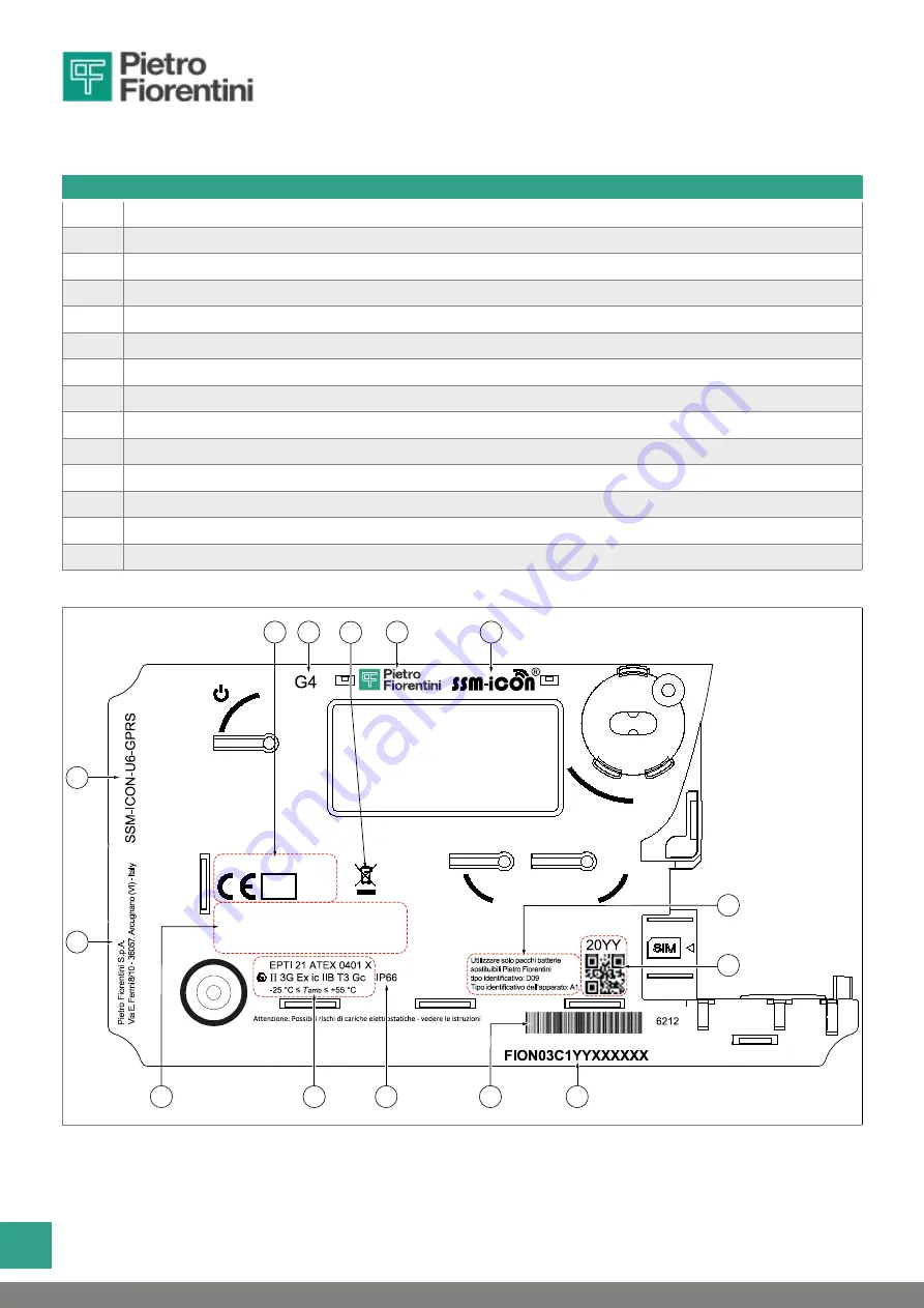 PIETRO FIORENTINI SSM-ICON Manual Download Page 18