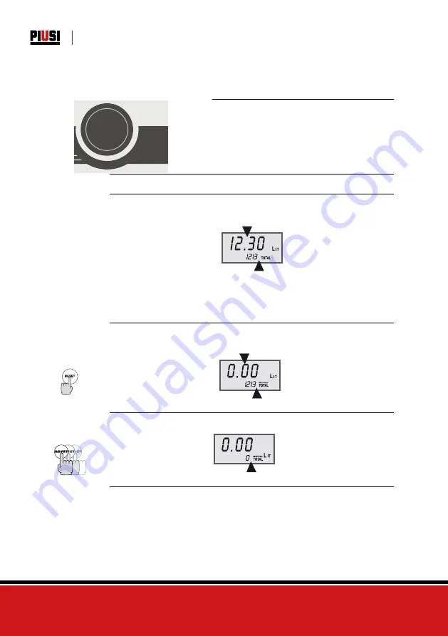 Piusi DELPHIN PRO X Quick Manual Download Page 6