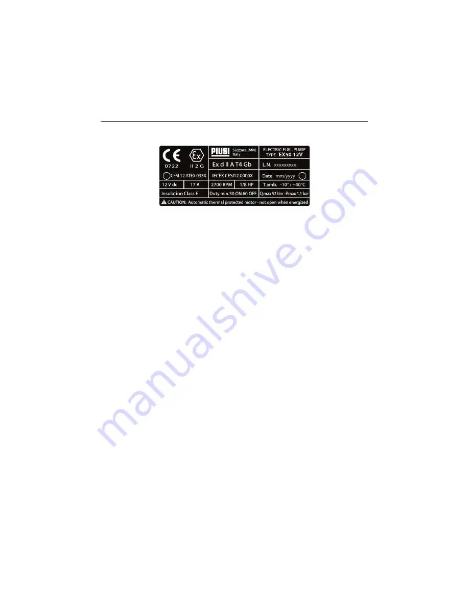 Piusi EX 50 12V Manual Download Page 3