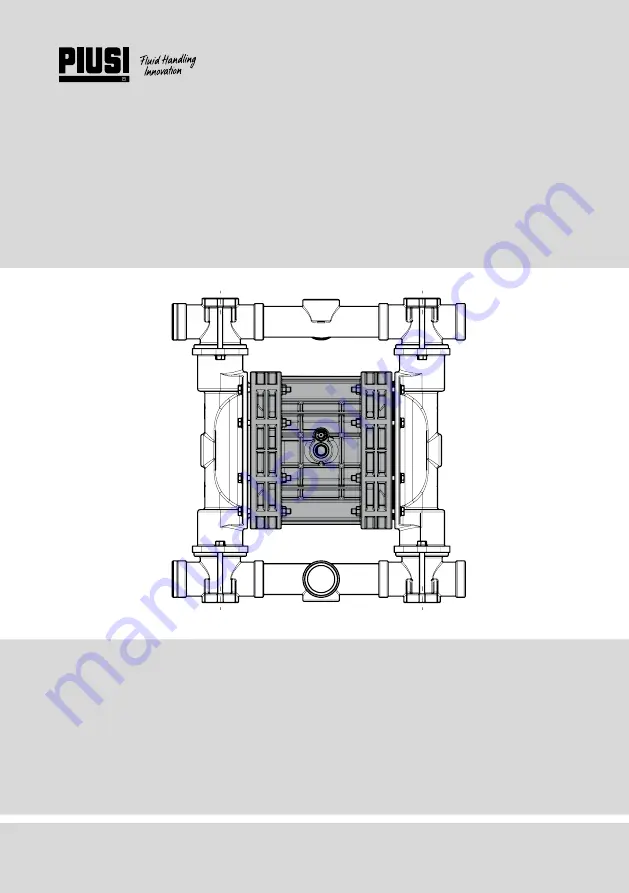 Piusi F00208A00 Instructions For Use And Maintenance Manual Download Page 1