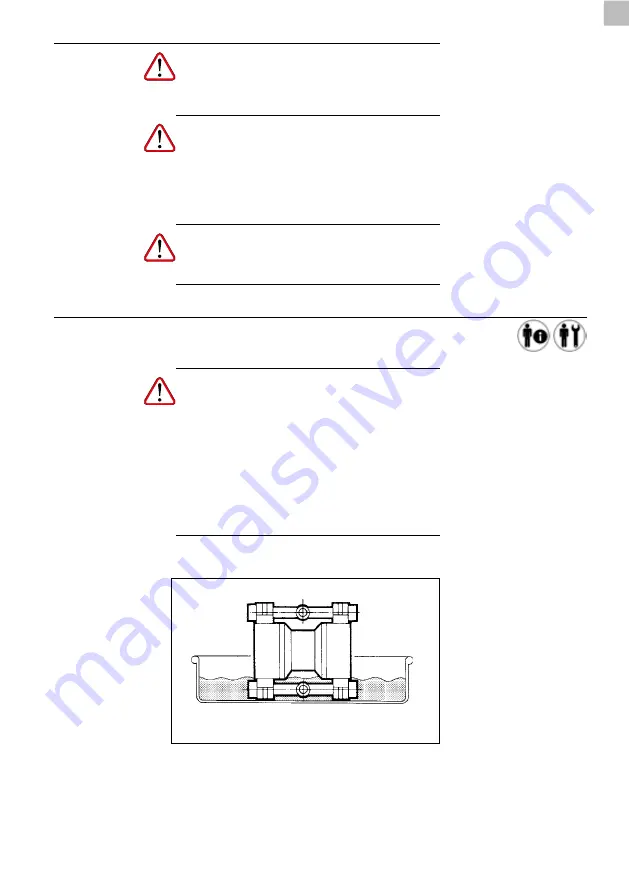 Piusi F00208A00 Instructions For Use And Maintenance Manual Download Page 11