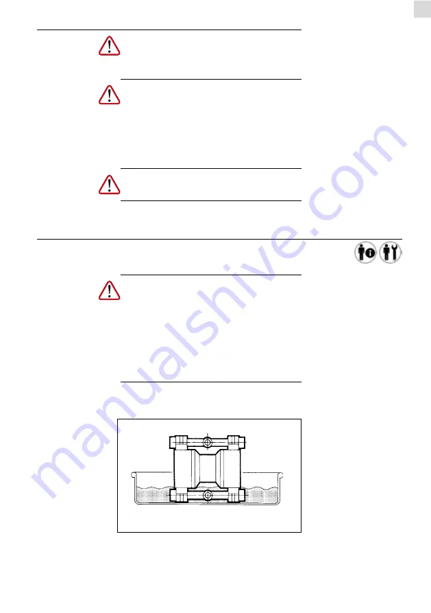 Piusi F00208A00 Instructions For Use And Maintenance Manual Download Page 79