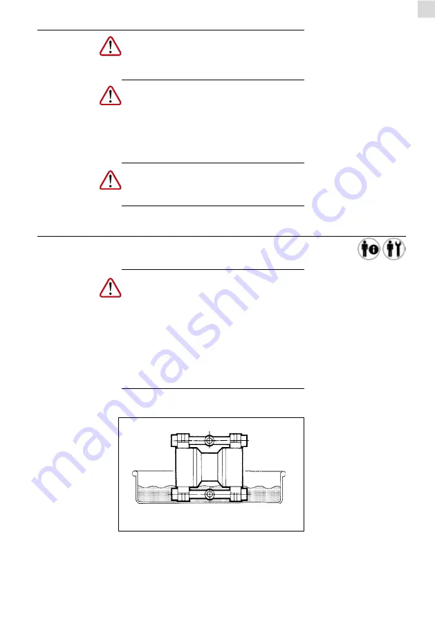 Piusi F00208A00 Instructions For Use And Maintenance Manual Download Page 113