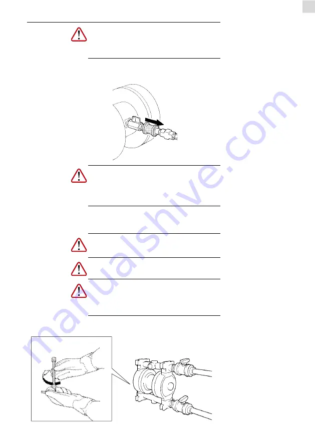 Piusi F00208A00 Instructions For Use And Maintenance Manual Download Page 195