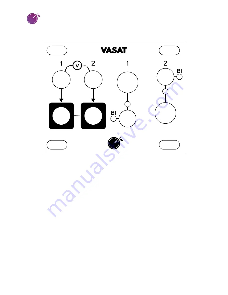 Plum Audio VASAT Quick Start Manual Download Page 1