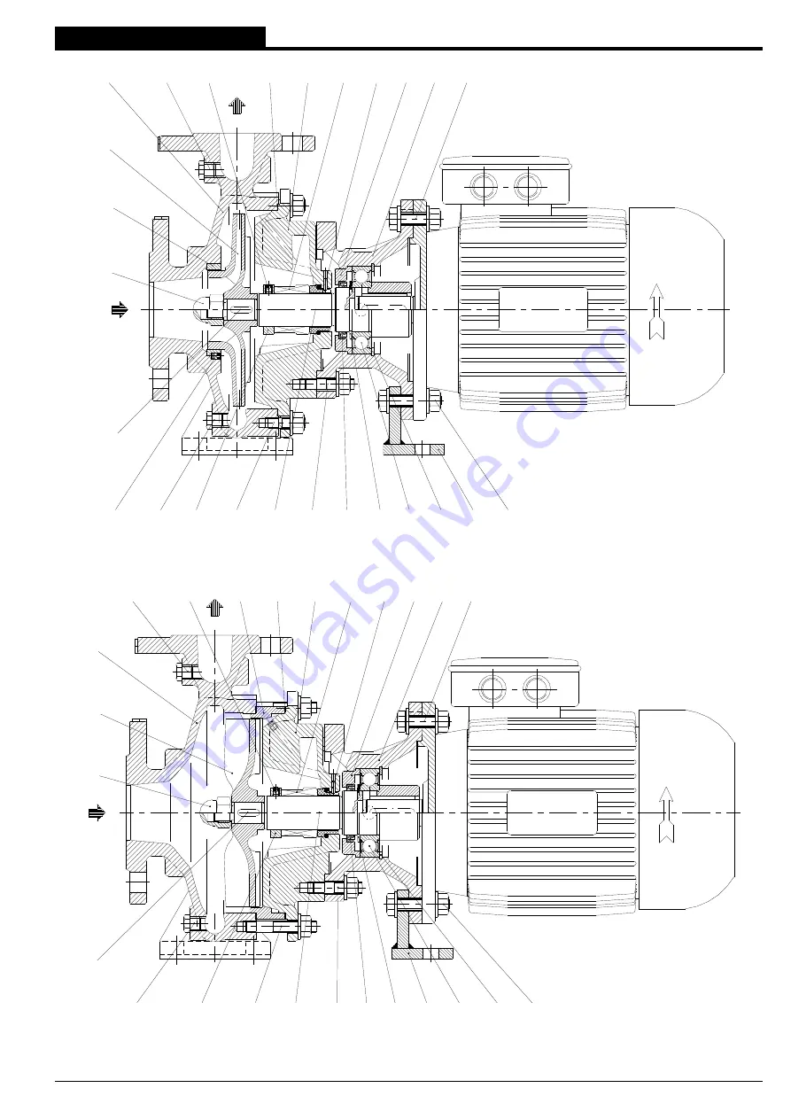 Pompetravaini TCHM Series Disassembly & Assembly Instructions Download Page 5