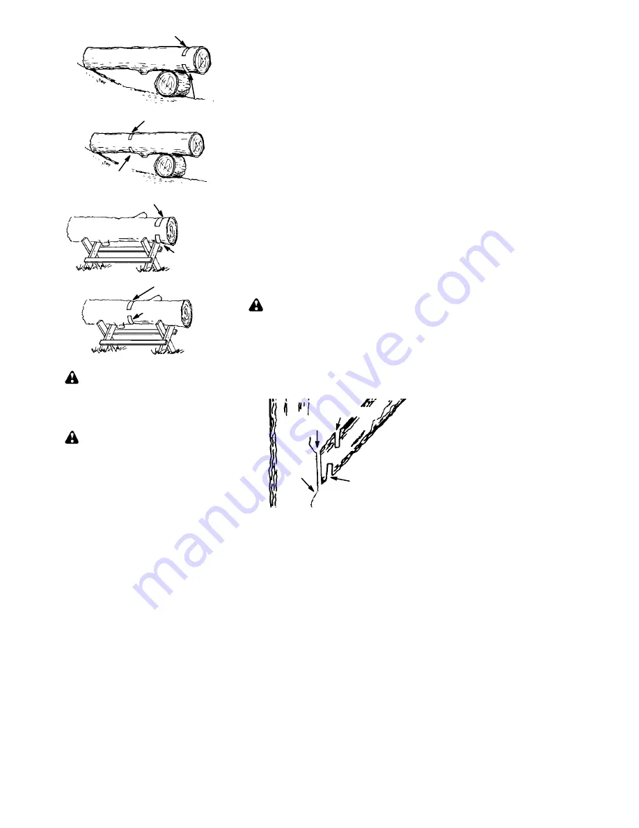 Poulan Pro 530165399-1 Instruction Manual Download Page 13