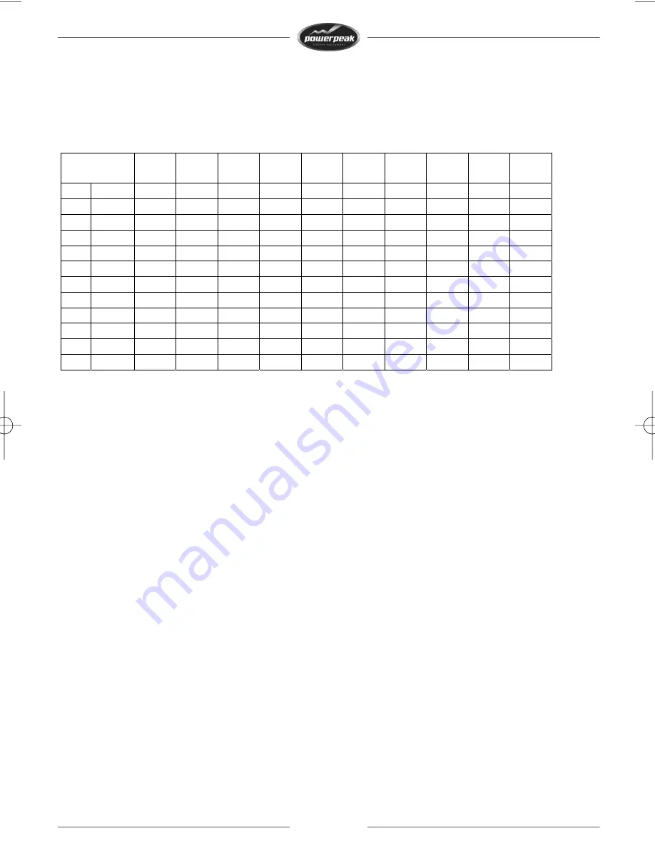 PowerPeak FTM8317P User Manual Download Page 13