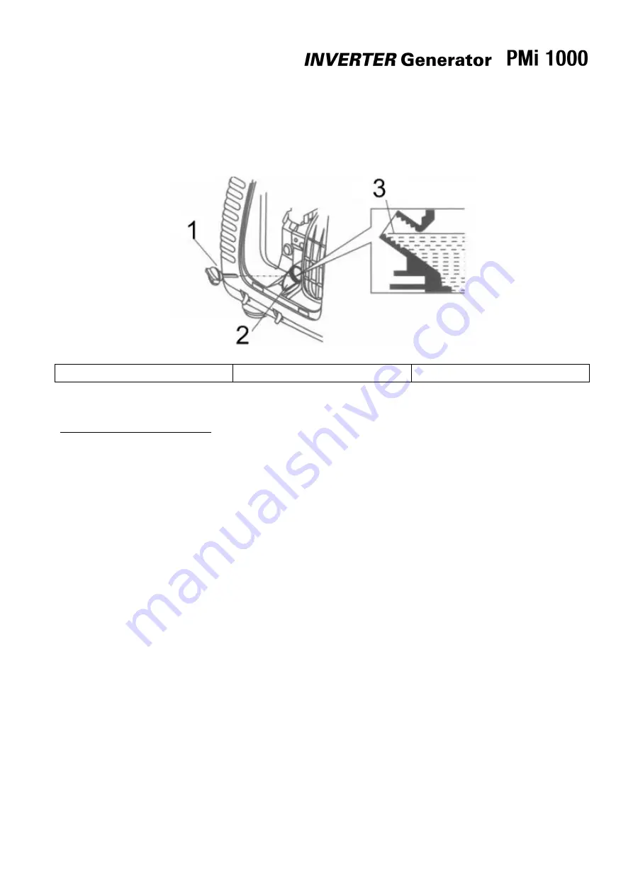 Pramac Powermate PMi1000 User Manual Download Page 41