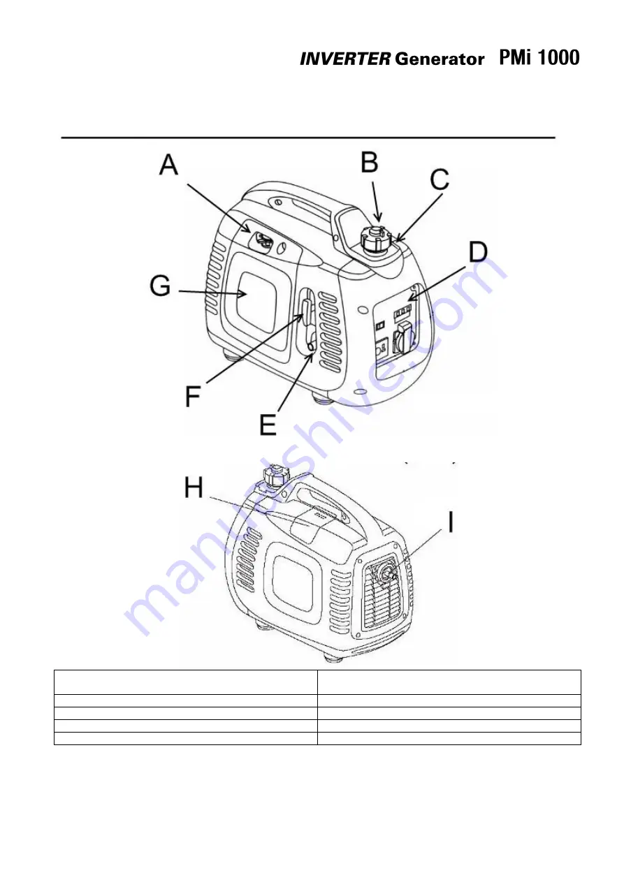 Pramac Powermate PMi1000 User Manual Download Page 100