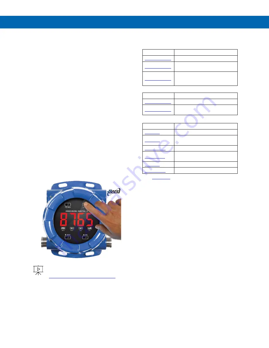 Precision Digital Corporation ProtEx Max PD8-765 Instruction Manual Download Page 7