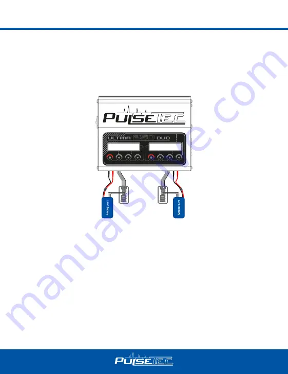 PulseTec Ultima 250 Duo Скачать руководство пользователя страница 6