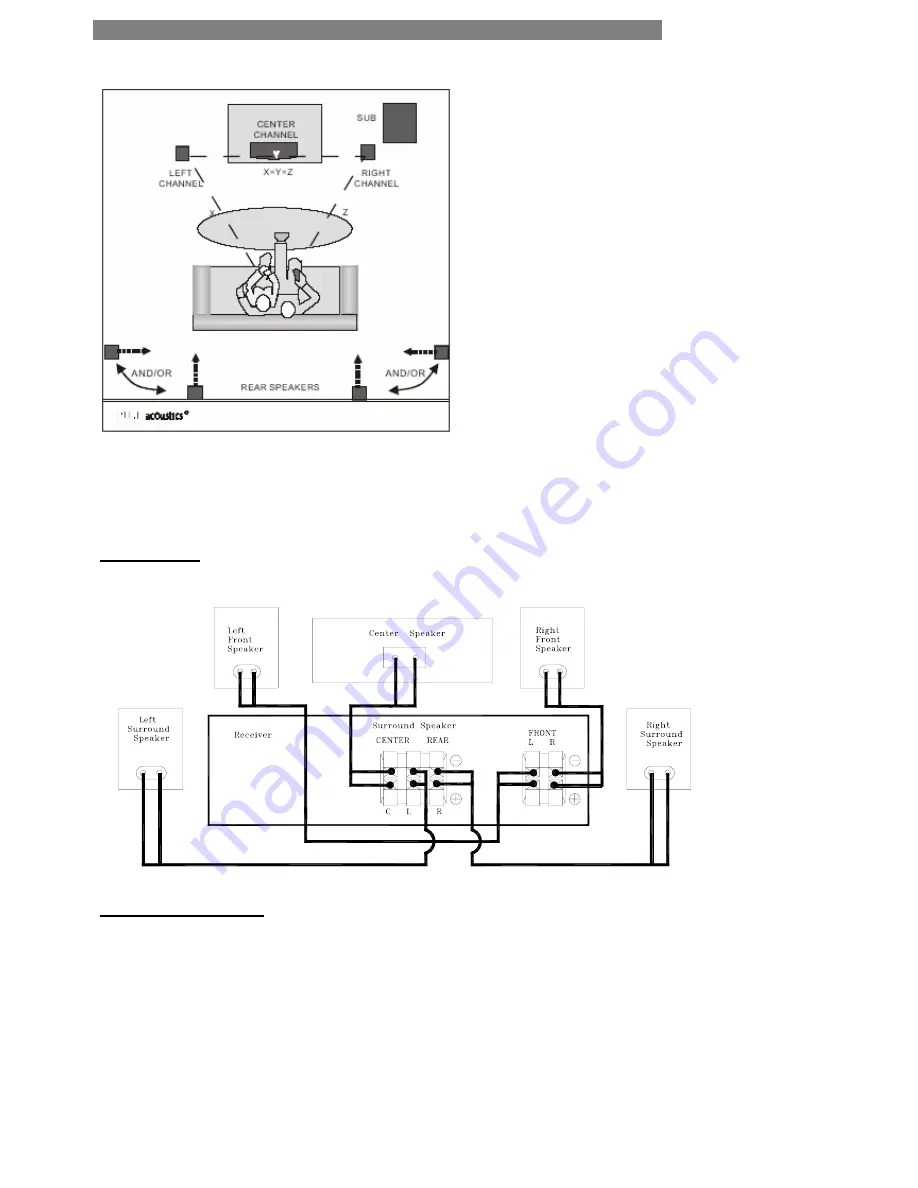 Pure Acoustics DREAM Series Owner'S Manual Download Page 3