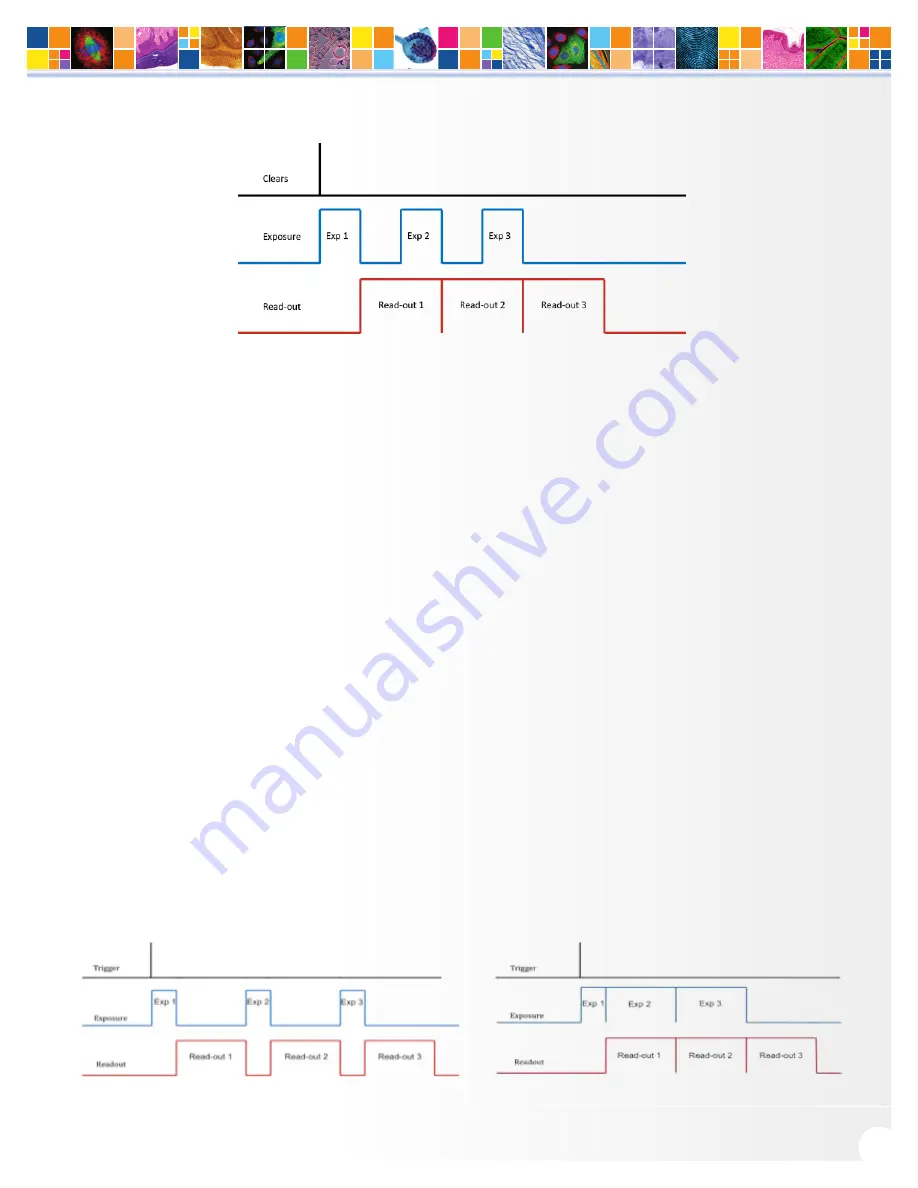 Q Imaging Retiga ELECTRO User Manual Download Page 15